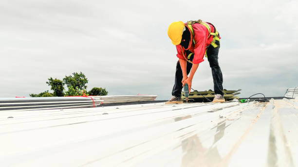 Gutter Replacement in Broadmoor, CA